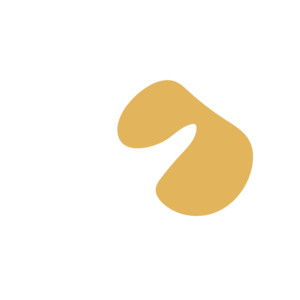 C7710caf-placeholder-1770030464