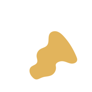 64d45f5b-placeholder-1770008055