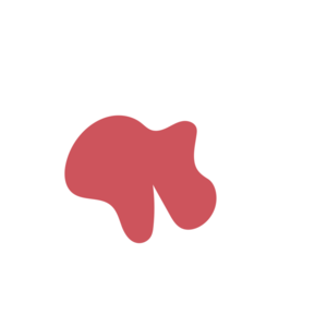 B432216e-placeholder-1770020010