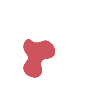 5eb8804d-placeholder-1770051668