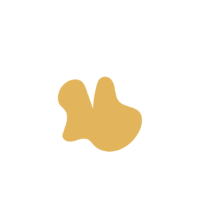 A5a36632-placeholder-1770012063