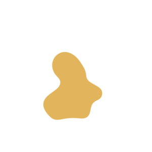 4e7d6d10-placeholder-1770020882