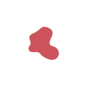 E5ce37bc-placeholder-1770022196