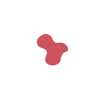 82534031-placeholder-1770023815