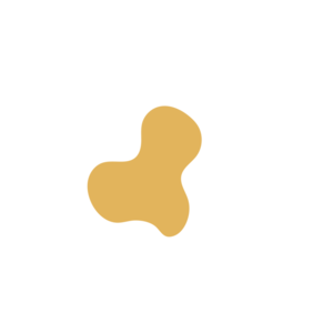 E371a389-placeholder-1770056404