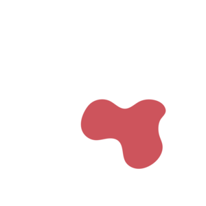 E6c4fb55-placeholder-1770022466