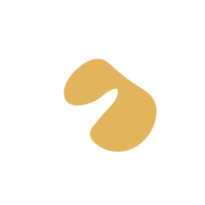 Bed0ff46-placeholder-1769025207