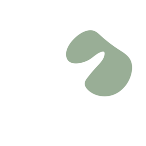 F660a884-placeholder-1770019140