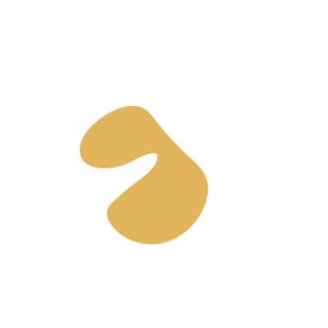 5b328f80-placeholder-1770061871