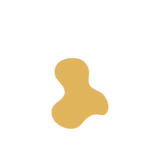 46c17062-placeholder-1770033230