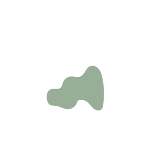 A32e96e6-placeholder-1770119869