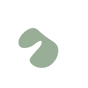 9127f591-placeholder-1770092600