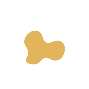 4fca121a-placeholder-1770009147