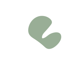 81a5f4d3-placeholder-1769640585