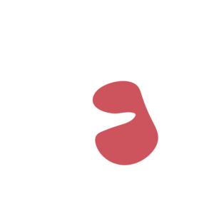 B30ac299-placeholder-1770005036