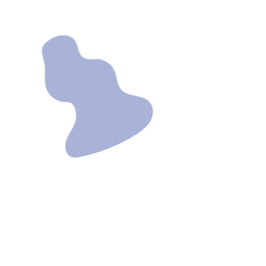 8ce72432-placeholder-1770033119