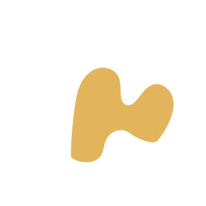 D7e0fbc2-placeholder-1770022007