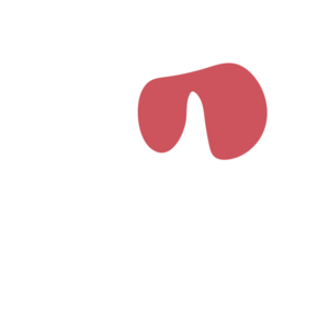 Caec17d8-placeholder-1770051750