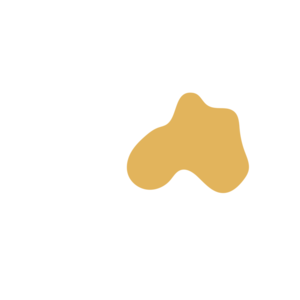 5f5d5f9e-placeholder-1770034709