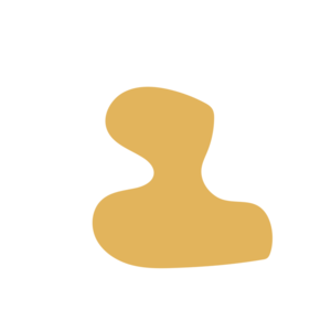 Cb0b2597-placeholder-1770106994