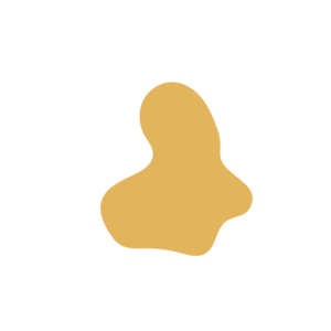 A6db262e-placeholder-1770055322