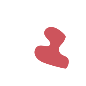 3c817596-placeholder-1770054719