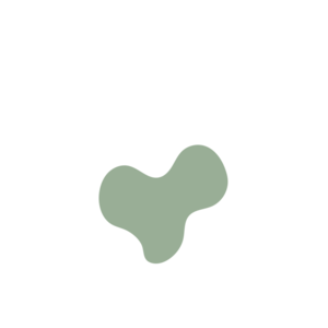 F1e84349-placeholder-1770050276