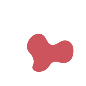 B04df748-placeholder-1770022076