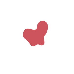 64527821-placeholder-1770023913