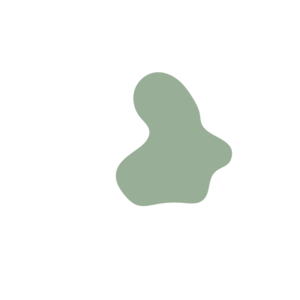 9113fec7-placeholder-1770024169