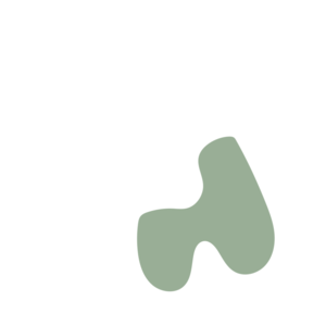 0eb38854-placeholder-1769452694