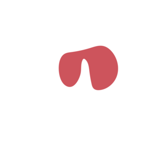 3ffa9441-placeholder-1770005231