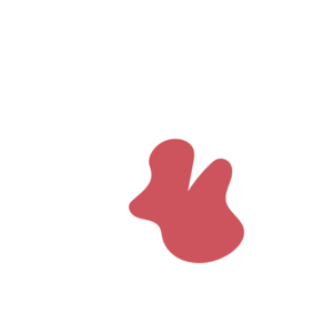 5d6a720d-placeholder-1770021033