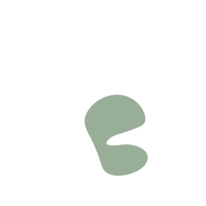 668b6276-placeholder-1769191697