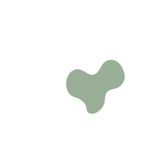 7893204a-placeholder-1770008055