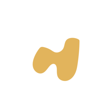 C1a0c458-placeholder-1770032739