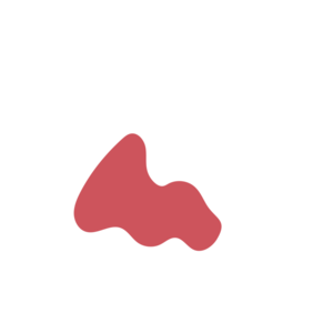 5f42e4e8-placeholder-1770015017