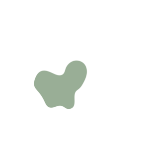 6b1a6649-placeholder-1769625571