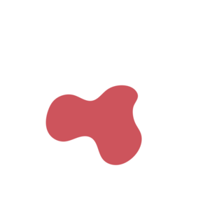 Ebc8e892-placeholder-1770023315