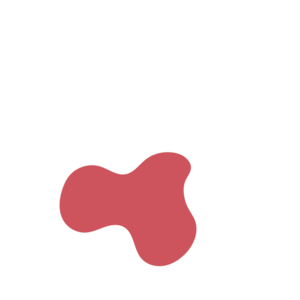 6d933782-placeholder-1770006894