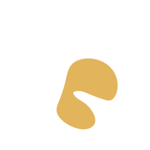 A4666cd9-placeholder-1769028069