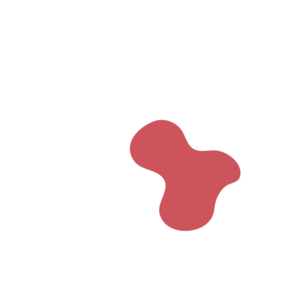 A7b2d1ab-placeholder-1770048735