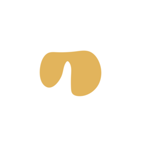 92b66931-placeholder-1770006857