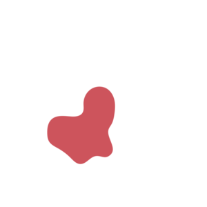 Bd18f213-placeholder-1769017291