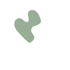 C1f30f1a-placeholder-1770013313