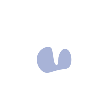 0c024e59-placeholder-1770012364