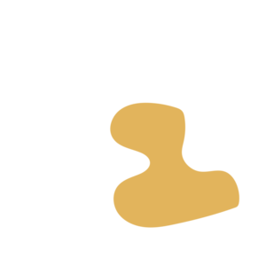 07bd6402-placeholder-1770022044