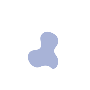 E866ee5d-placeholder-1770017064