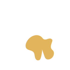 953f07b3-placeholder-1770030271