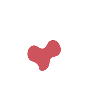 Bfd32a84-placeholder-1770053501